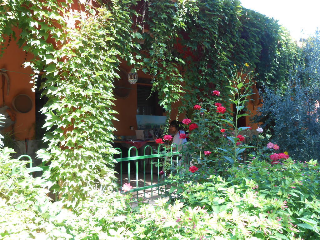 Gasthaus La Derrubiá Villamalea Exterior foto